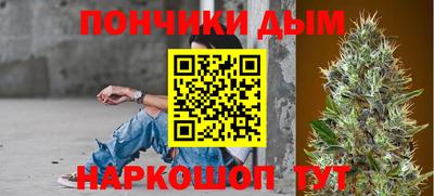 шишки Лесосибирск