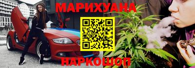 шишки Лесосибирск