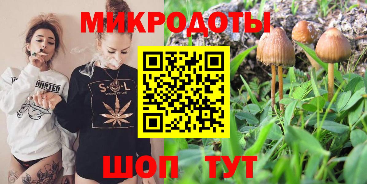 Галлюциногенные грибы Psilocybe  Вход с VPN  Чистополь  где продают   Псилоцибиновые грибы прущие грибы 